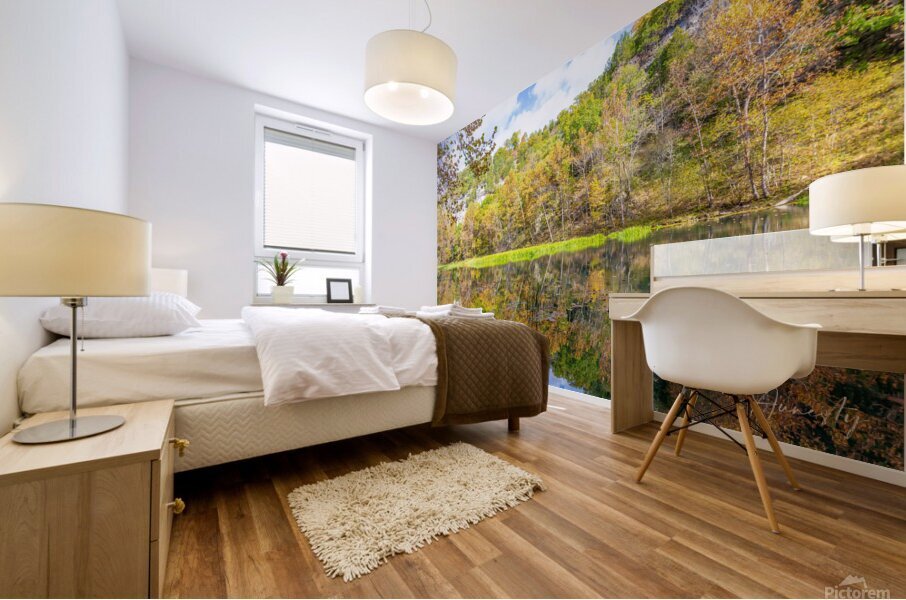 Mirror Reflection Mural print