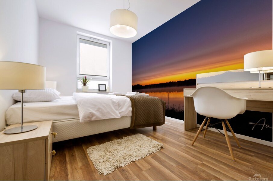 At First Light Mural print