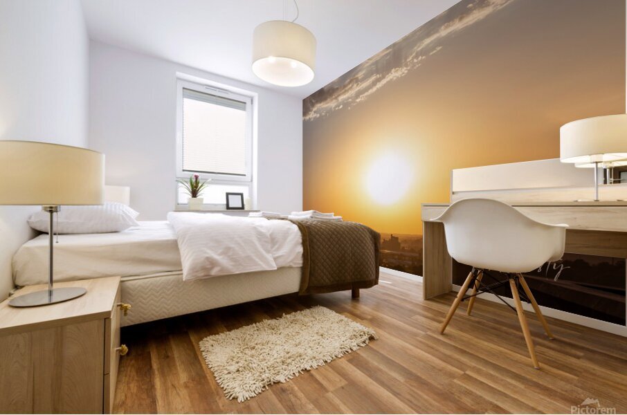 The Sun Mural print