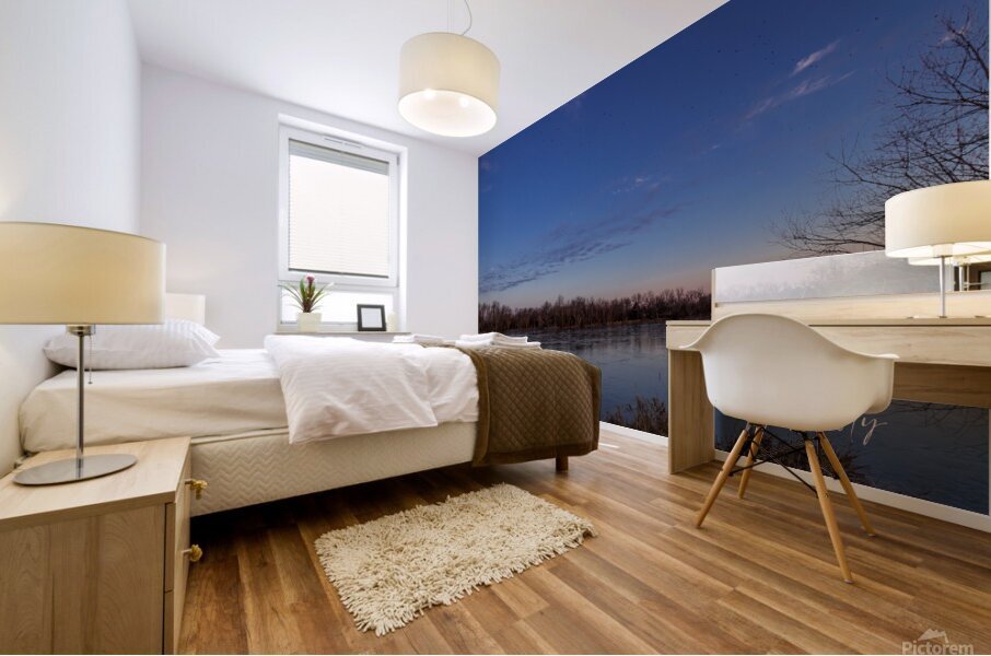 Last Light Mural print