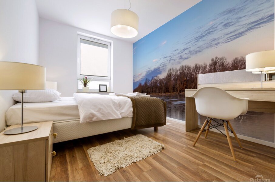 Winter Pastels Mural print