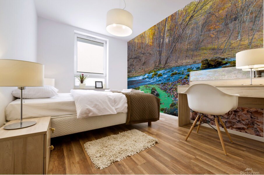 Flowing Stream Mural print