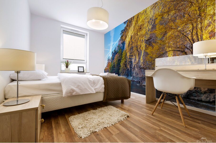 Cliffside Mural print