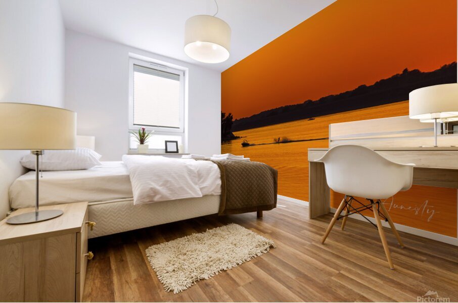 Lake Fun Mural print