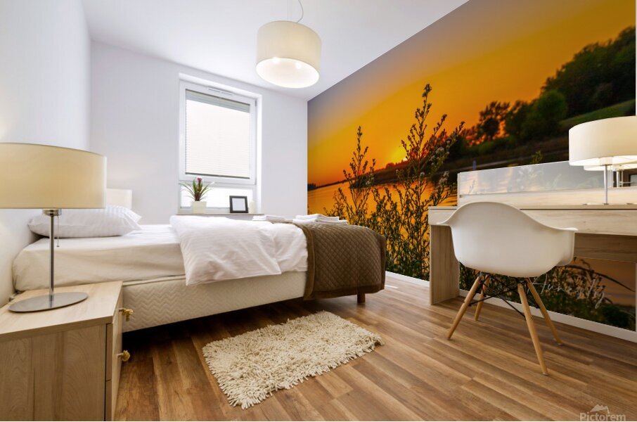 Twins Mural print