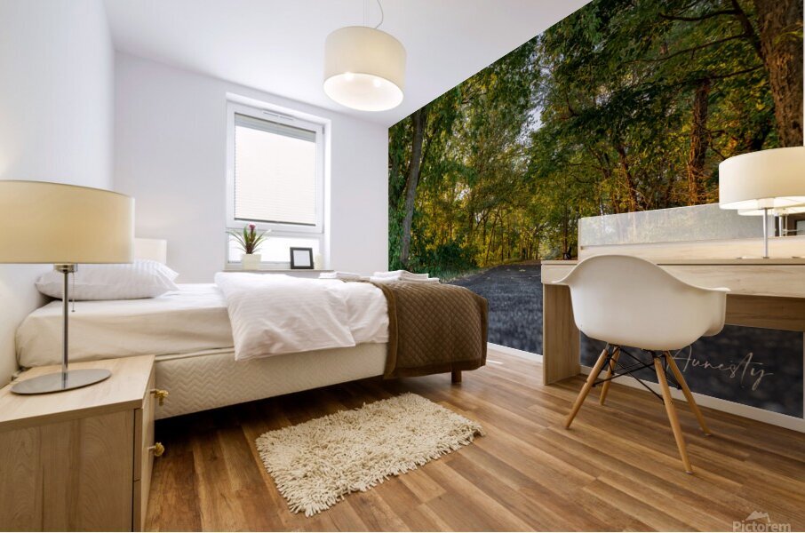 Paths Mural print