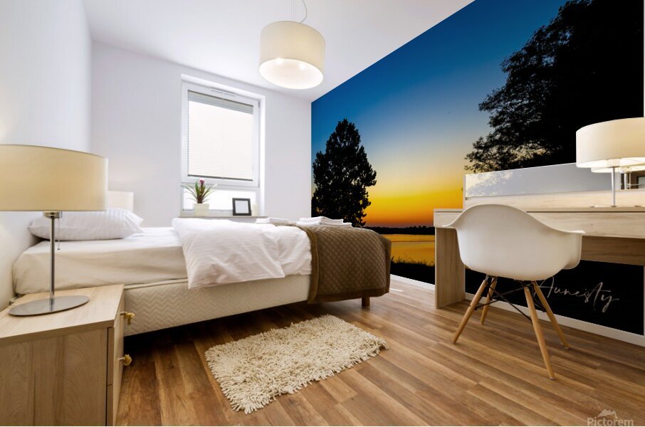 Twilight Mural print