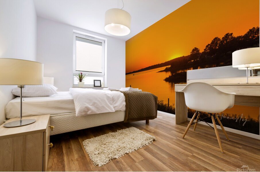 Lake Silhouette Mural print