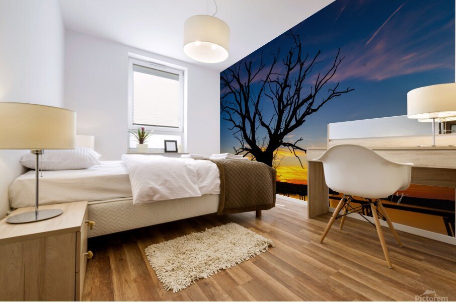 Solitude Mural print