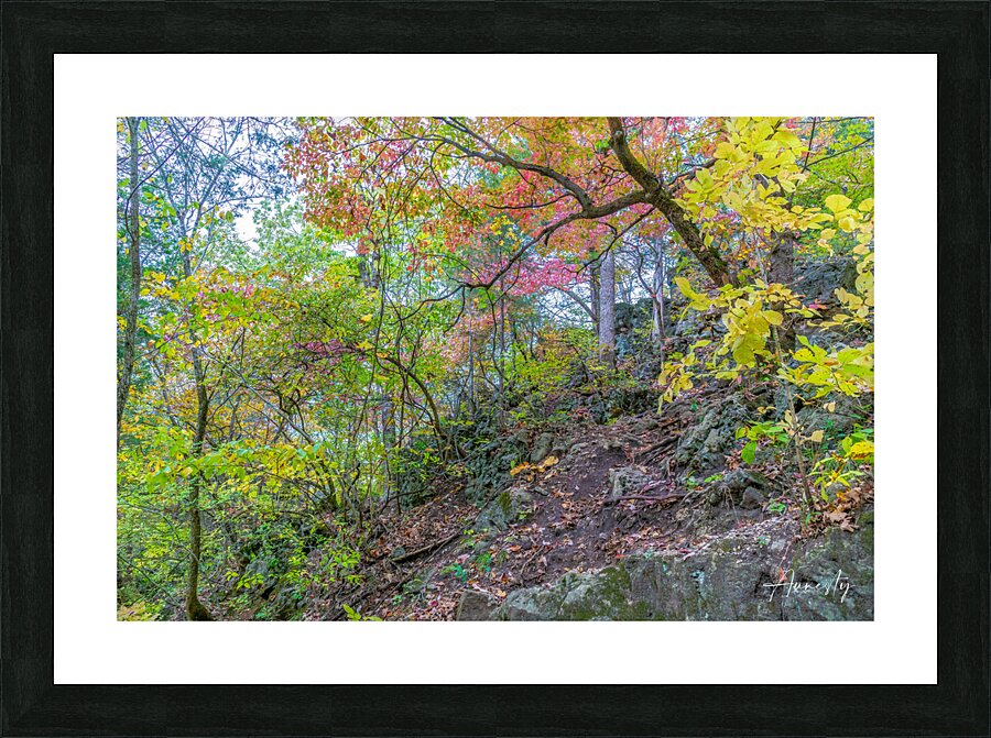 Climbing Up Picture Frame print