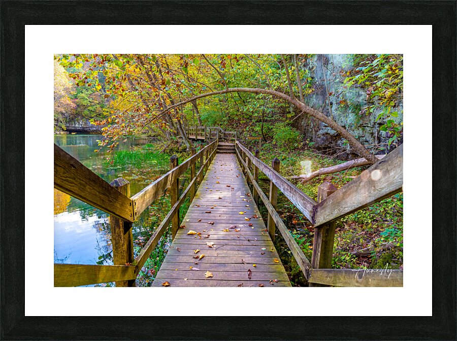Under the Branch Picture Frame print