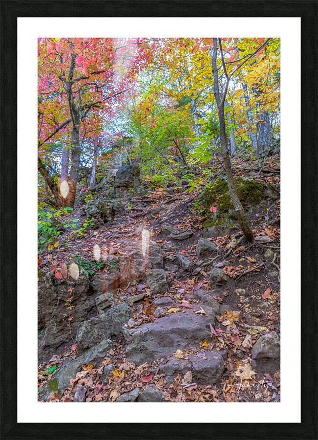 Path Up Picture Frame print