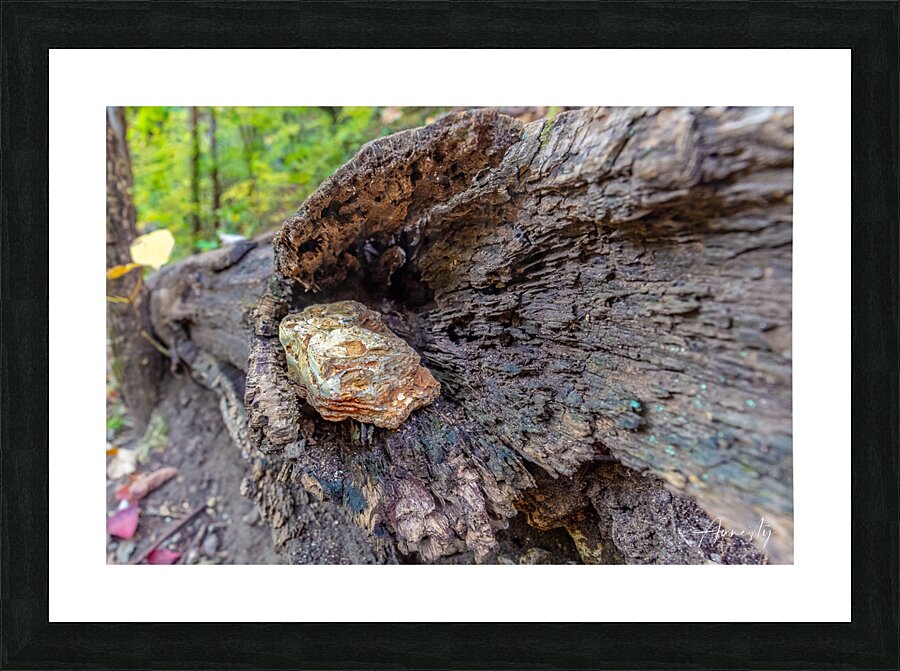 I See You Picture Frame print
