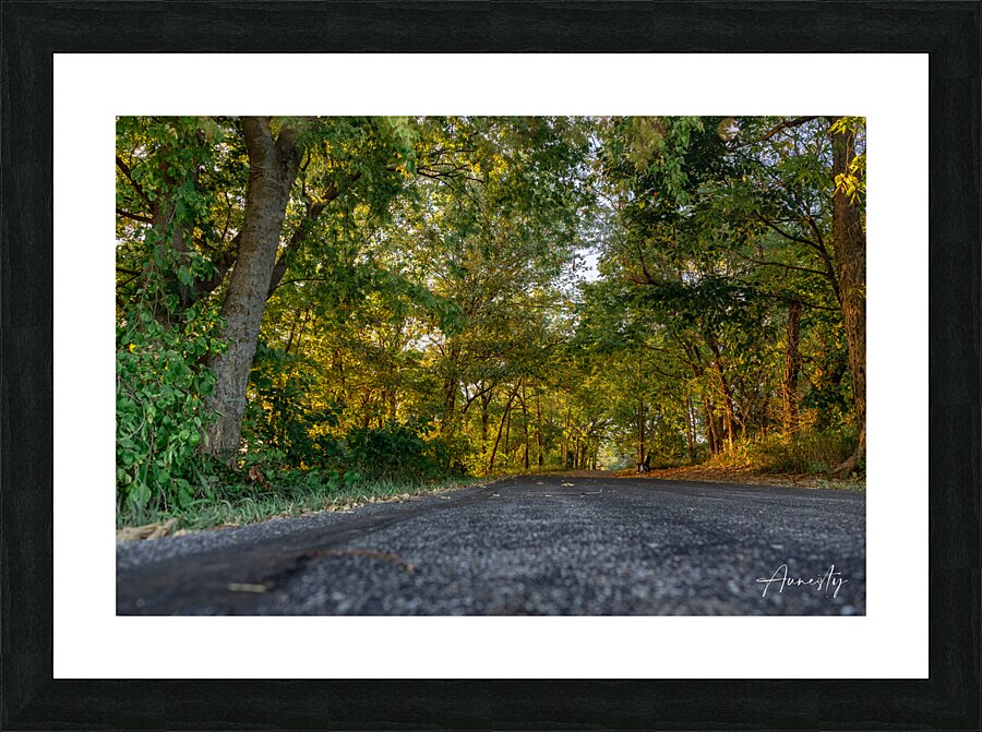 Paths Picture Frame print