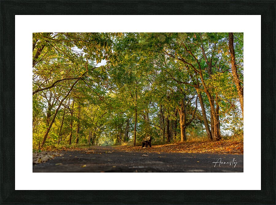 Stillness Picture Frame print