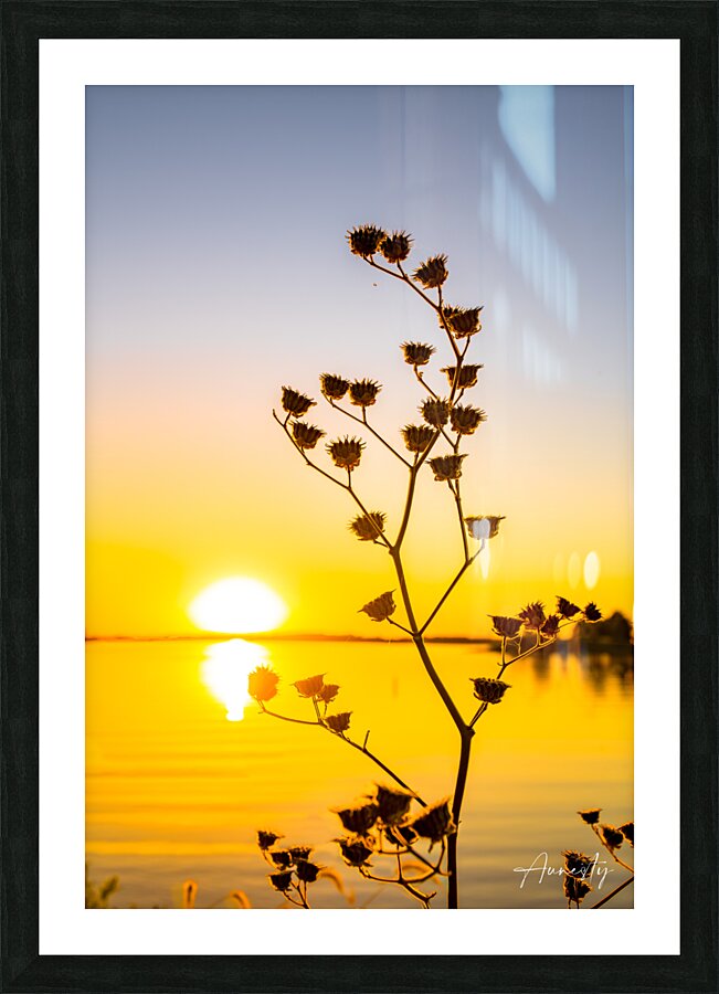 Growth Picture Frame print