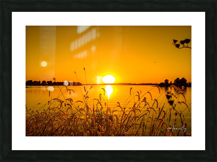 Looking Through the Grass Picture Frame print