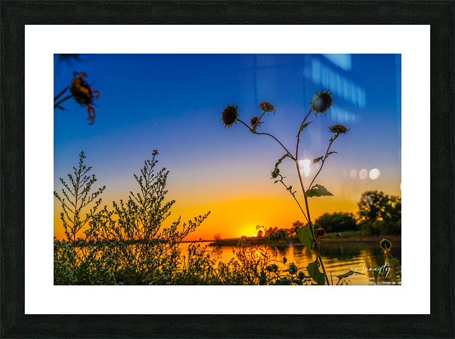 Through the Weeds Picture Frame print