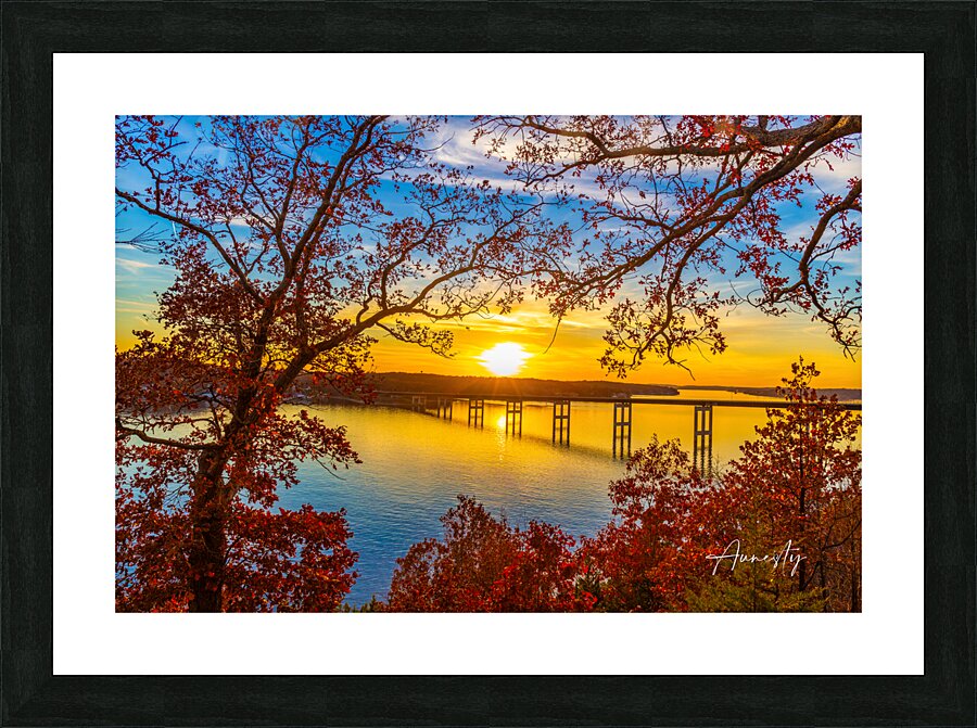 Through The Trees Picture Frame print