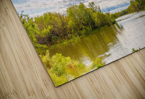 Fishing in the Clouds Aunesty Janssen puzzle