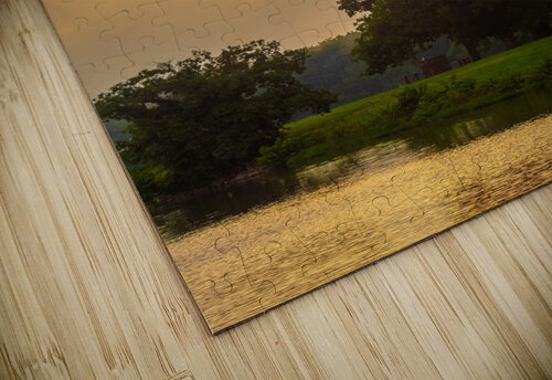 Shine Bright Aunesty Janssen puzzle