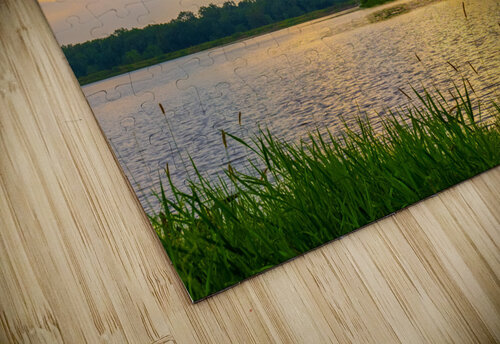 Light Behind the Clouds Aunesty Janssen puzzle