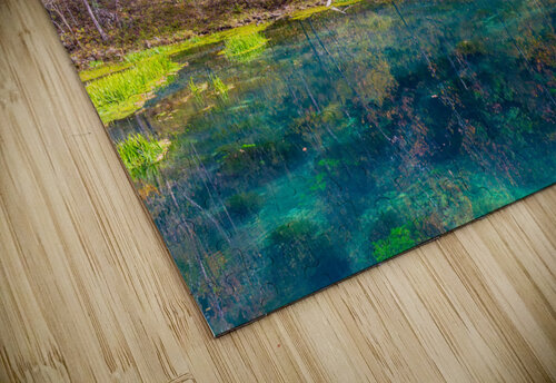 I See You Aunesty Janssen puzzle