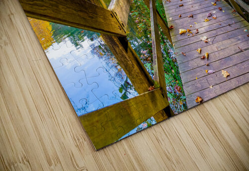 Under the Branch Aunesty Janssen puzzle