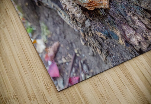 I See You Aunesty Janssen puzzle