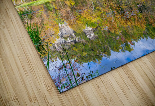 Mirror Reflection Aunesty Janssen puzzle