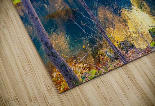 Calmness Aunesty Janssen puzzle