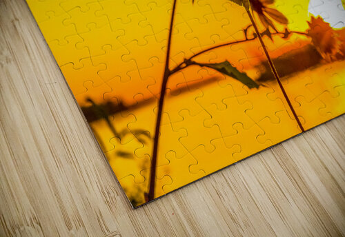 Sunflower at Sunset Aunesty Janssen puzzle