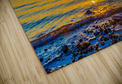 Blue Aunesty Janssen puzzle