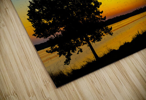 Twilight Aunesty Janssen puzzle