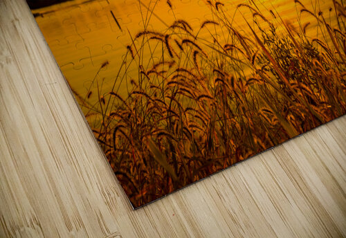 Looking Through the Grass Aunesty Janssen puzzle