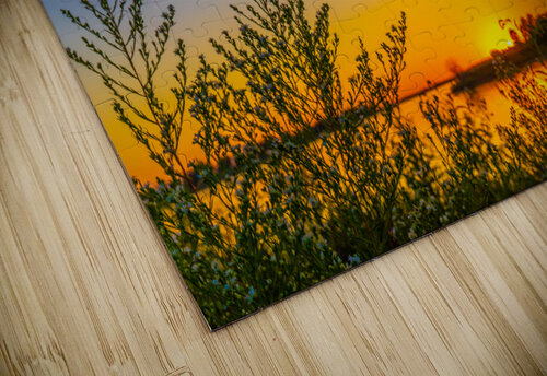 Through the Weeds Aunesty Janssen puzzle