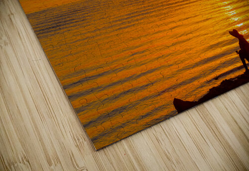 Fishing in Sunset Aunesty Janssen puzzle