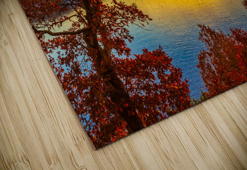 Through The Trees Aunesty Janssen puzzle