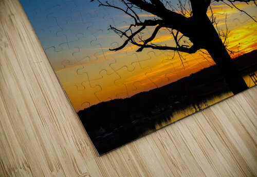 Solitude Aunesty Janssen puzzle