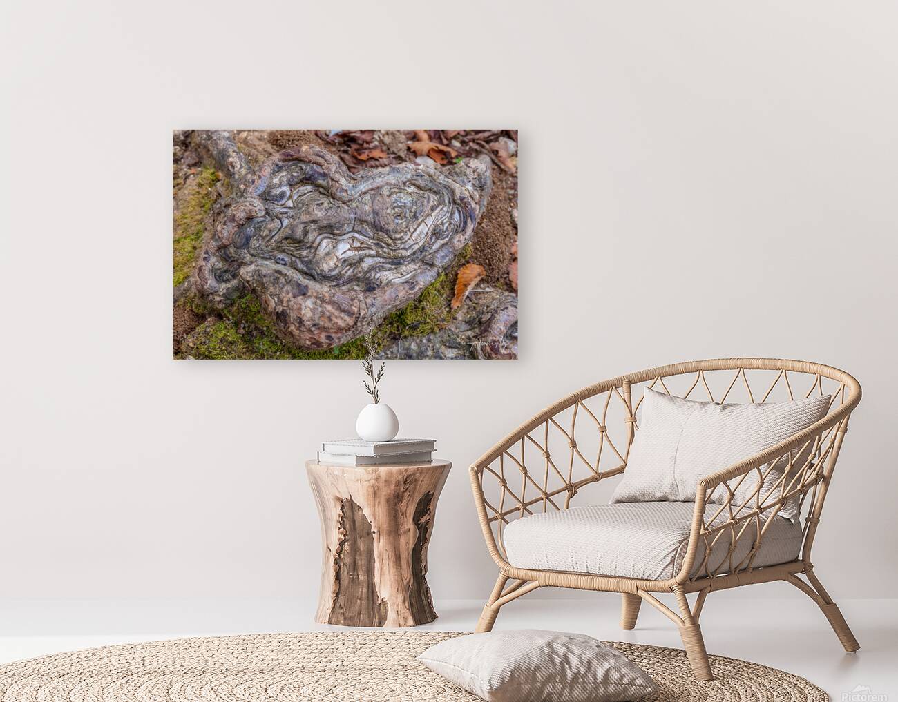Natures Prints Reproduction