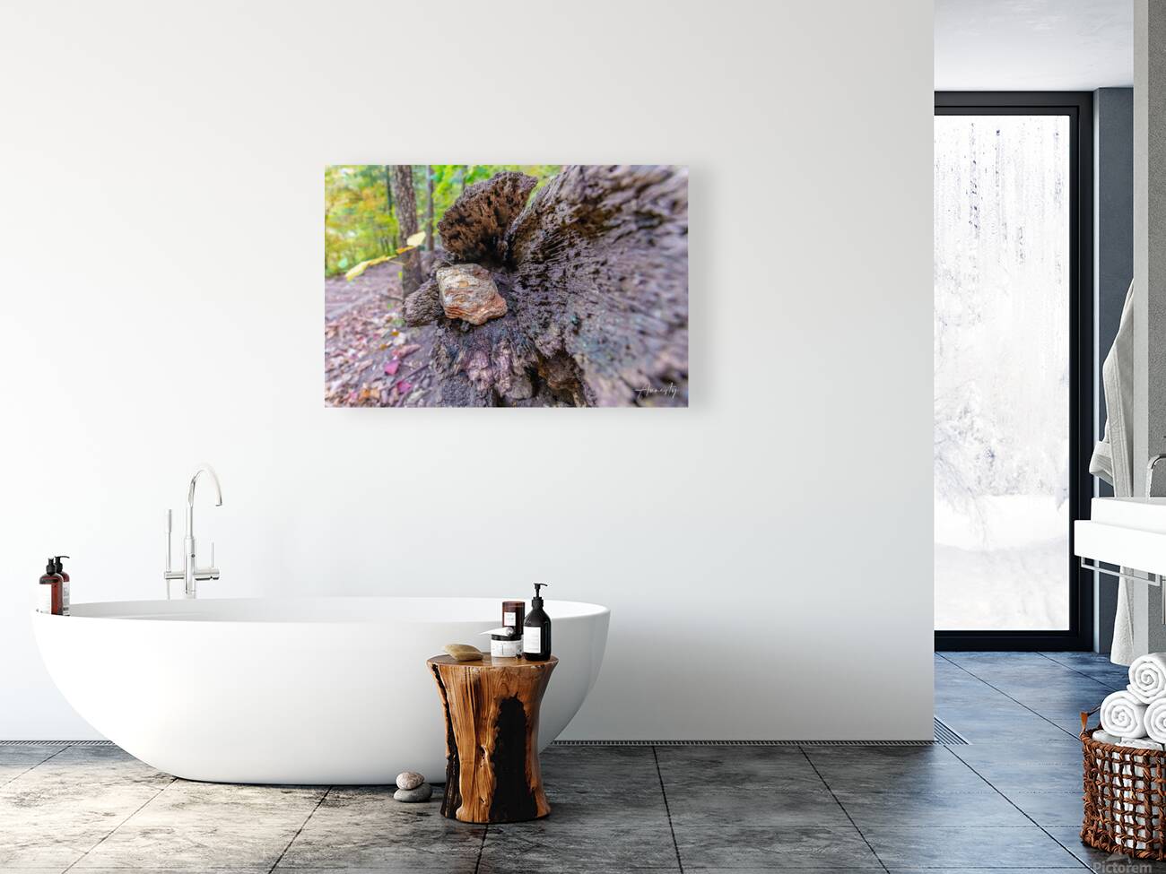 Rock in Tree Reproduction