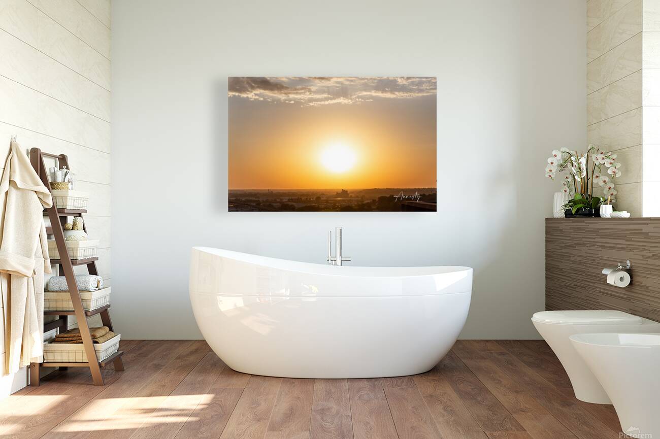 The Sun Reproduction