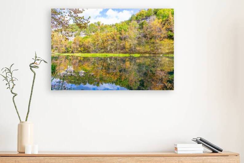 Mirror Reflection Reproduction