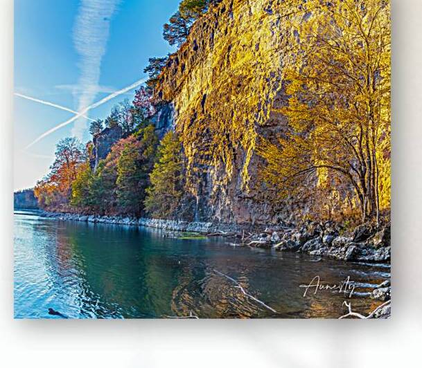 Cliffside Reproduction