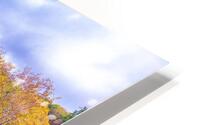 I See You HD Metal print