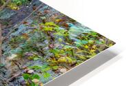 Under the Branch HD Metal print