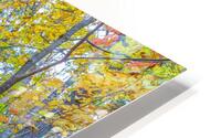 Path Up HD Metal print