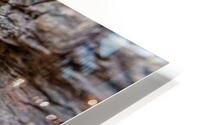 I See You HD Metal print