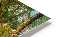 Stillness HD Metal print