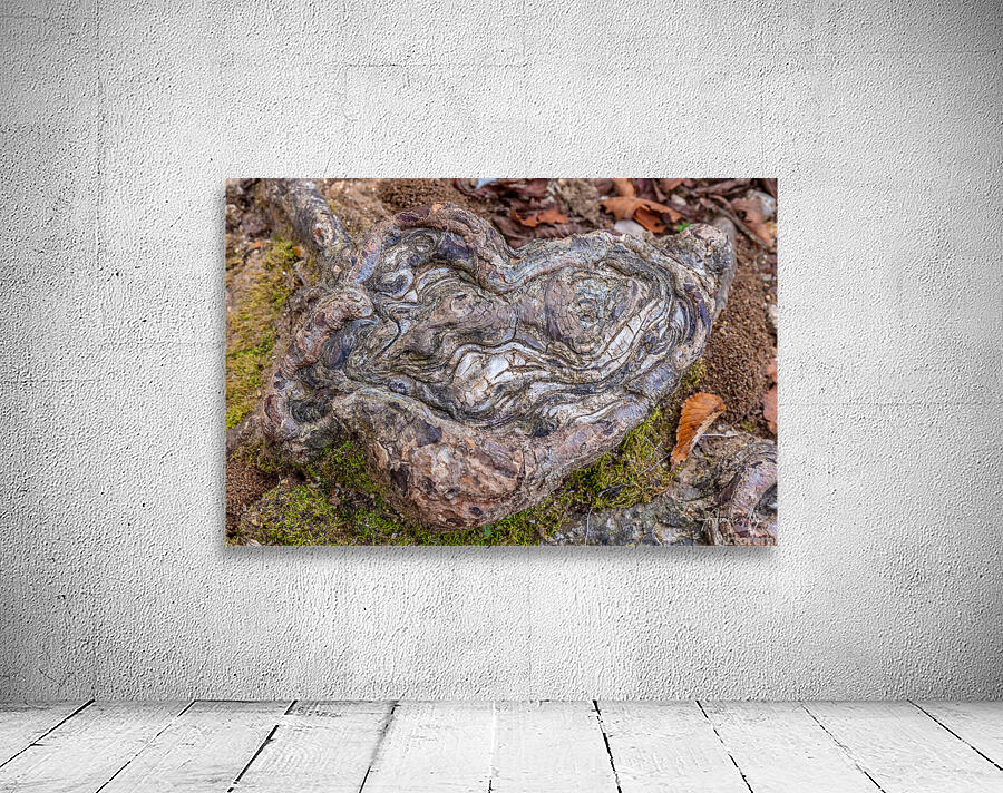 Natures Prints Wall Preview
